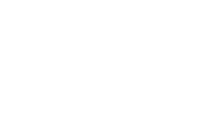 Ax1